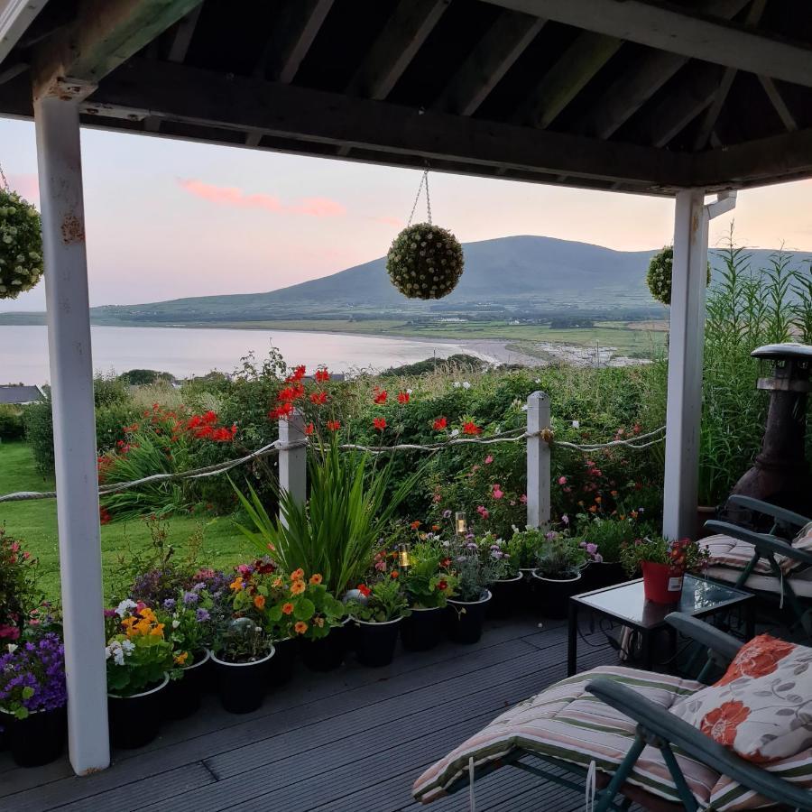 The Plough B&B Ventry Exterior photo