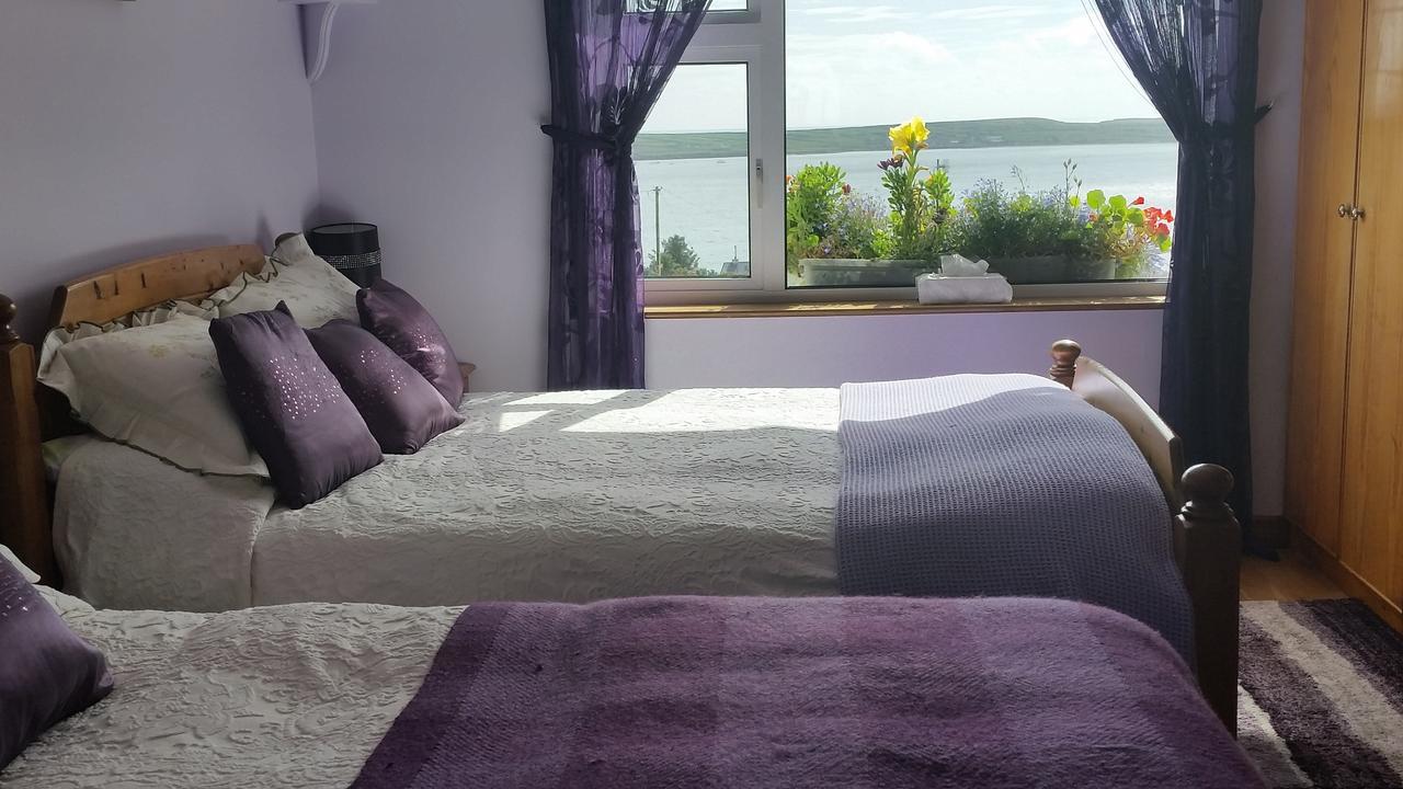 The Plough B&B Ventry Exterior photo